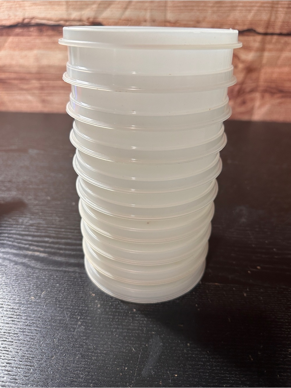 vintage Tupperware Hamburger Keepers (Model 882) 1/4lb burger patties